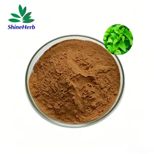 Lemon Balm Extract