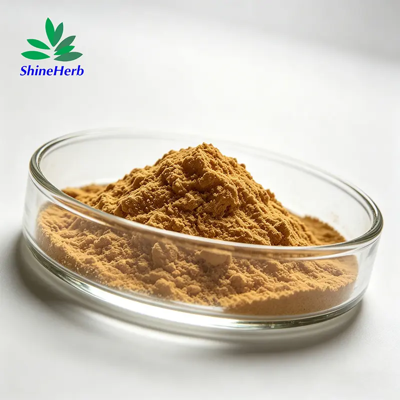Wholesale Natural Salvianolic acid B Salvia Miltiorrhiza Extract for Cosmetics & Dietary Supplements Manufacturers, Company