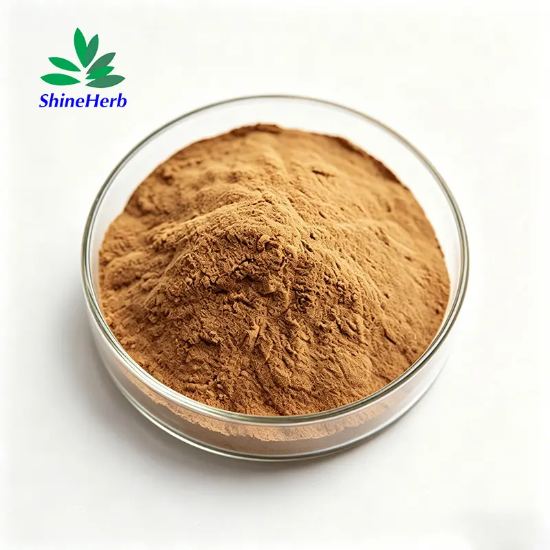 High-Quality Wholesale Cloud Mushroom Extract Coriolus Versicolor Mushroom Extract Food Grade Manufacturer, Supplier