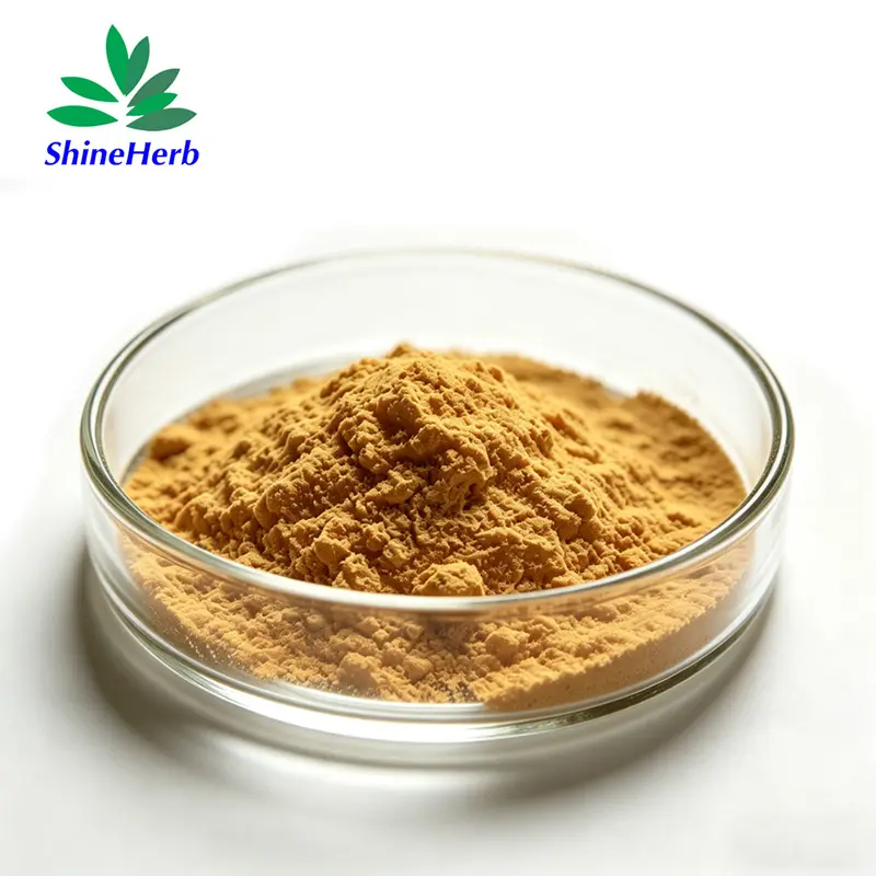 China Lion's Mane Mushroom Extract Polysaccharides 30% Hericium Erinaceus Extract Natural Dietary Supplement Company, Factory