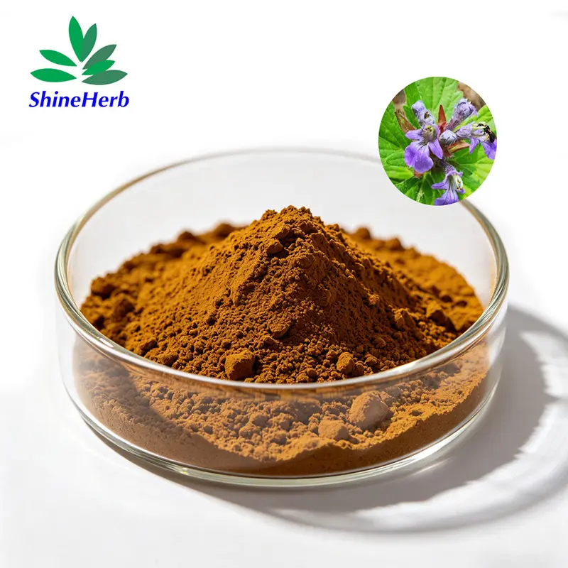 High-Quality 2%-40% Turkesterone supplier Natural Ajuga Turkestanica Extract Supplier, Factory
