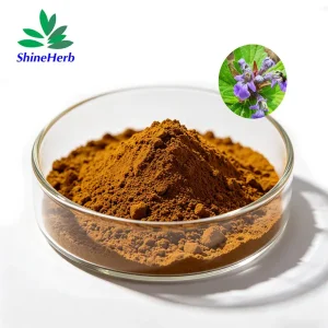 High-Quality Turkesterone Supplier