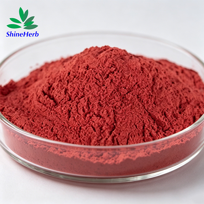 Lycopene Extract Powder
