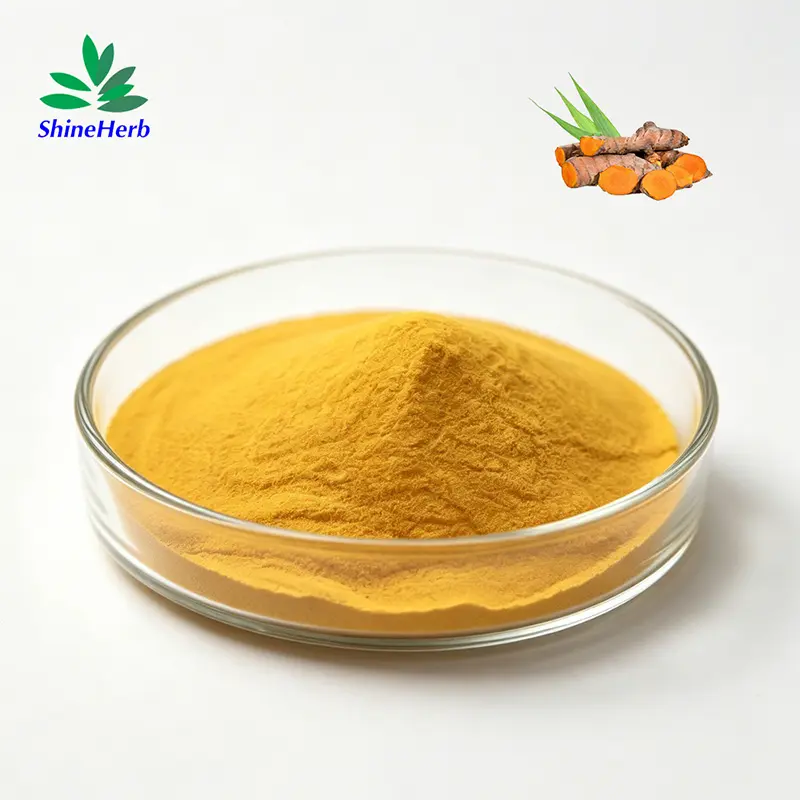 Buy Liposomal Curcumin Powder Natural Curcumin for Supplement Companies, Company