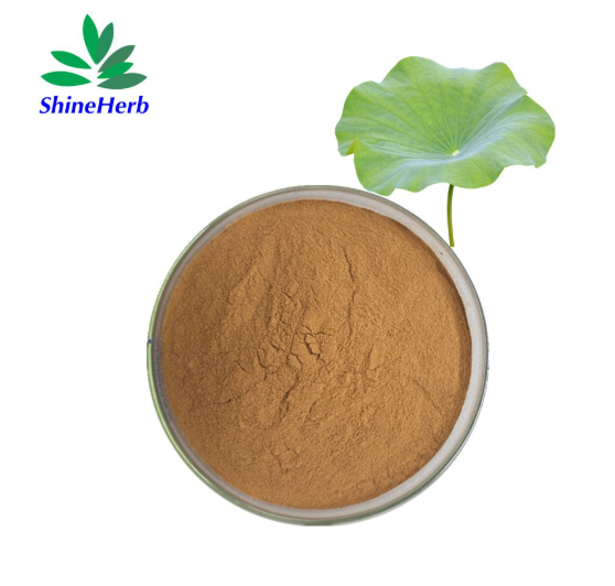 lotus-leaf-extract-1