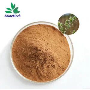 Tribulus Terrestris Extract