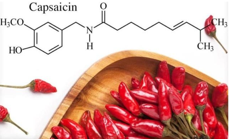 capsaicin-1