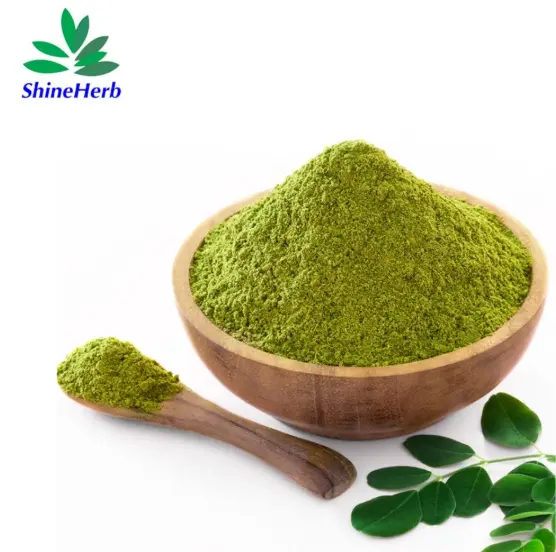 China Factory Supply Moringa Leaf Powder Moringa Oleifera Extract Bulk Wholesale Exporters, Factories