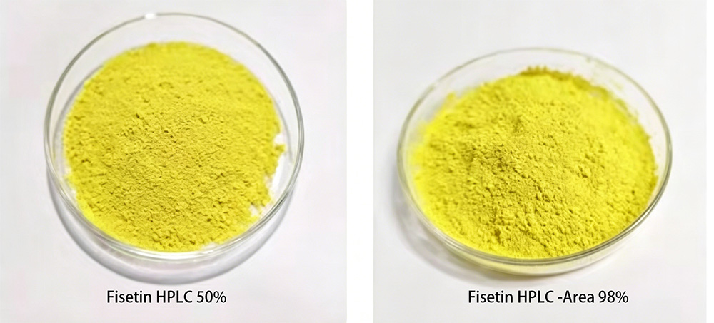 fisetin-3