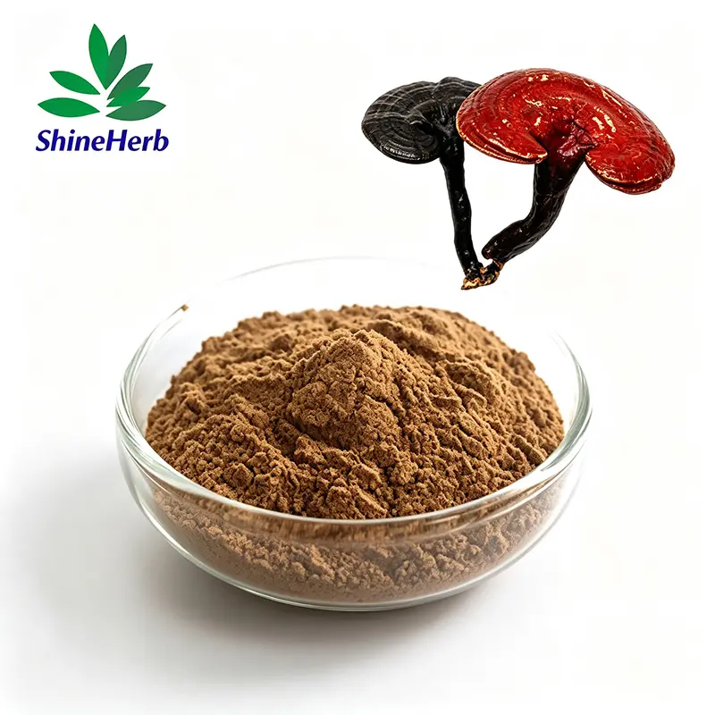 High-Quality Hot sale Reishi Mushroom Extract Ganoderma Spore Powder Manufacturer, Exporters