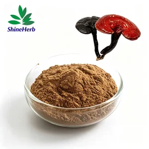 Reishi Mushroom Extract Ganoderma Spore Powder