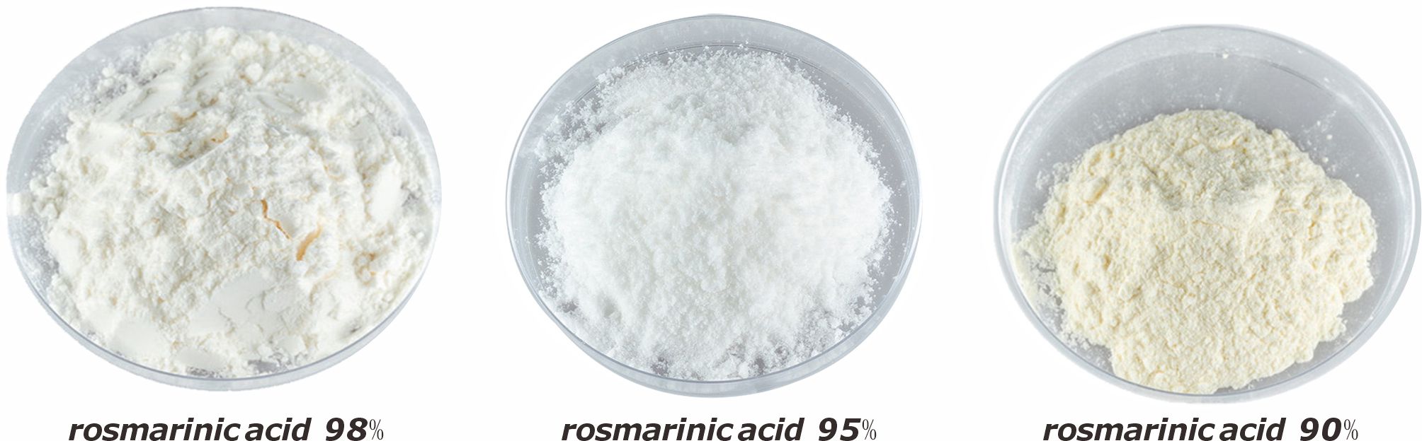 specification-of-rosmarinic-acid