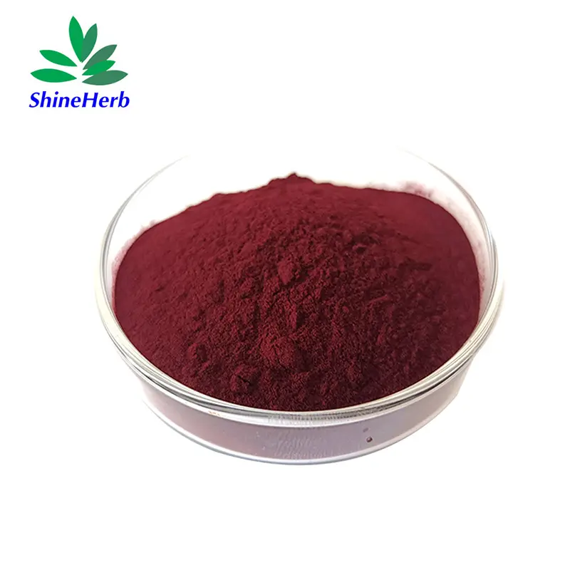 China Natural Grape Seed Extract Powder 95% Proanthocyanidin for Anti-Aging Skincare Exporters, Exporter