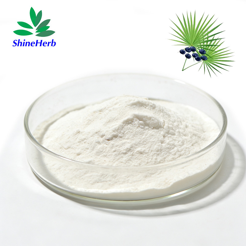 saw-palmetto-extract-1