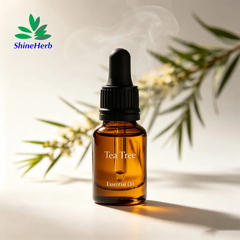 High-Quality Shineherb Supply Tea Tree Essential Oil For personal‑care formulation Manufacturers, Supplier