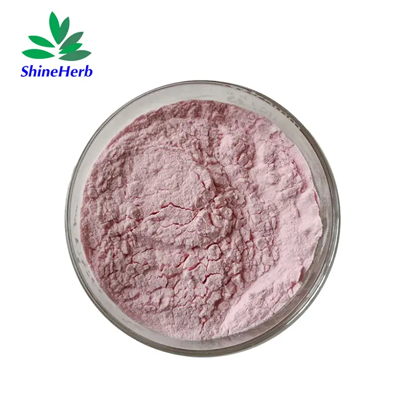 Best Shineherb supply Lactoferrin Powder Nutrition Supplement Manufacturers, Factory