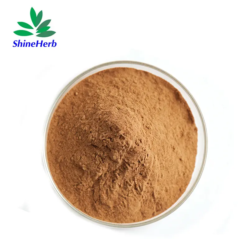 China Shineherb Supply Butchers Broom Extract Natural Plant Extract Manufacturer, Supplier