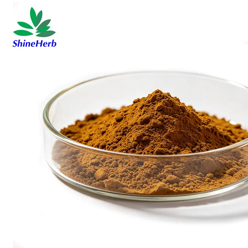 High-Quality Echinacea Extract 100% Pure Natural Plant Extract Supplier, Companies