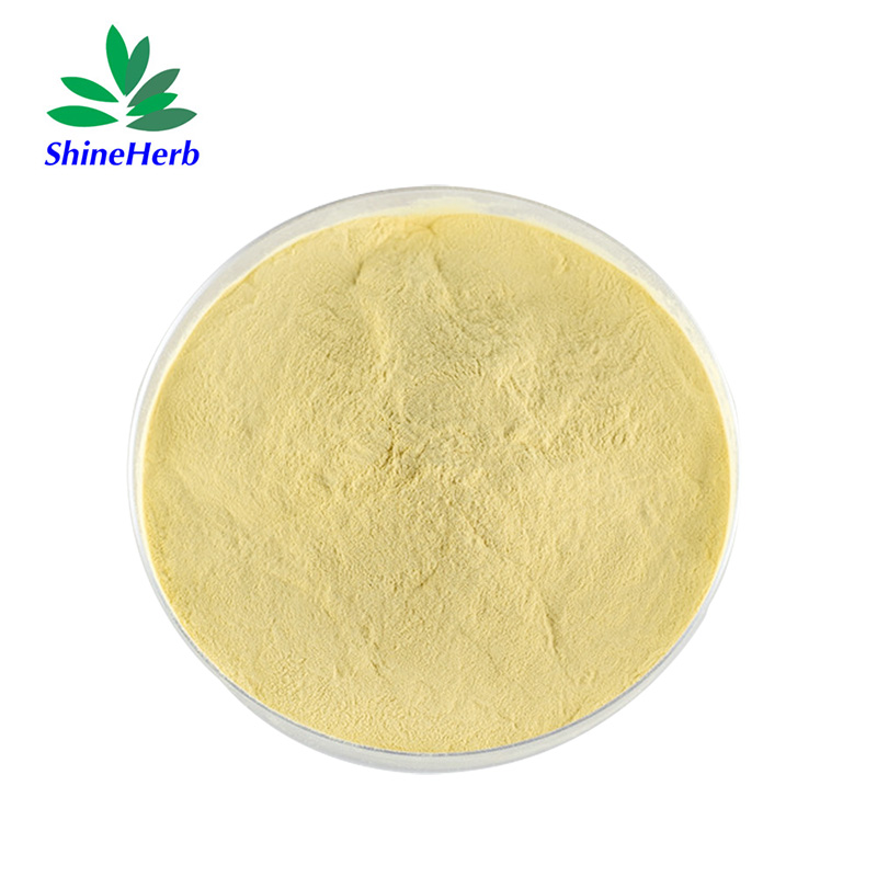 yeast-extract-enzyme-2