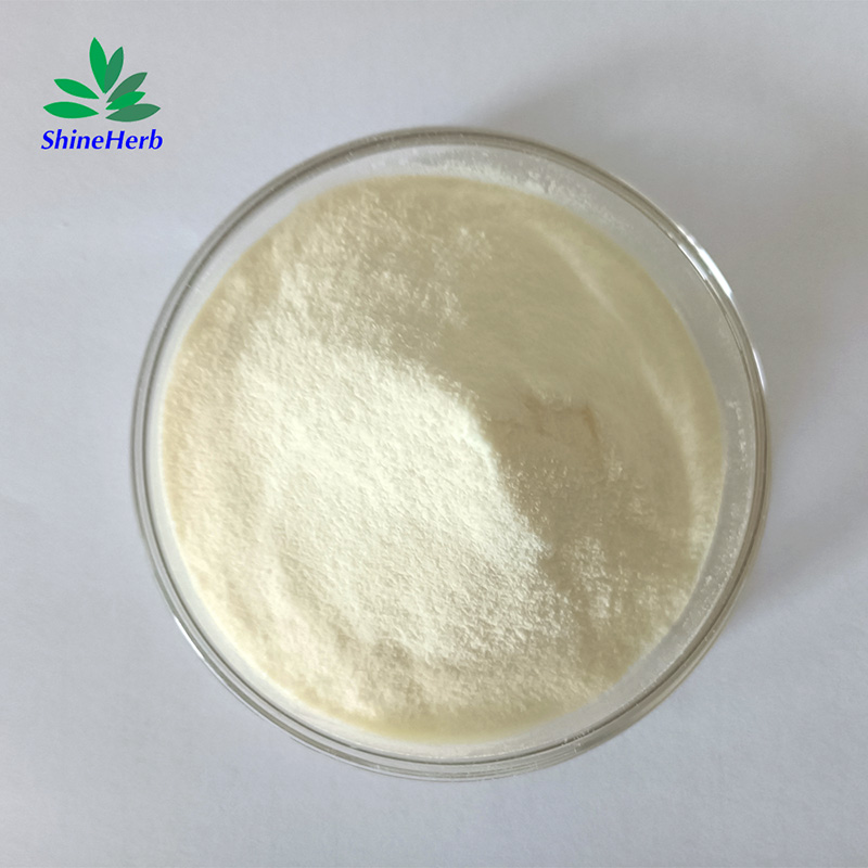 peptone-powder-2