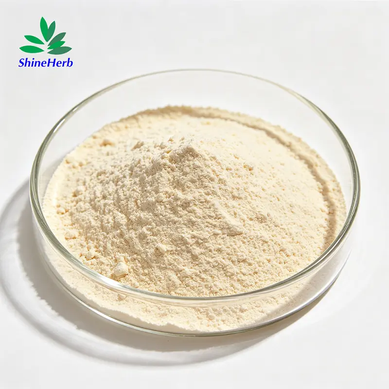 Buy Shineherb Supply α-Galactosidase Powder High Activity enzyme Manufacturers, Exporter