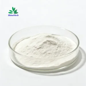 L-Carnitine Powder