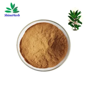 Kacip Fatimah Extract