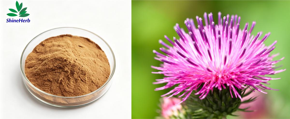 Ashwagandha 1