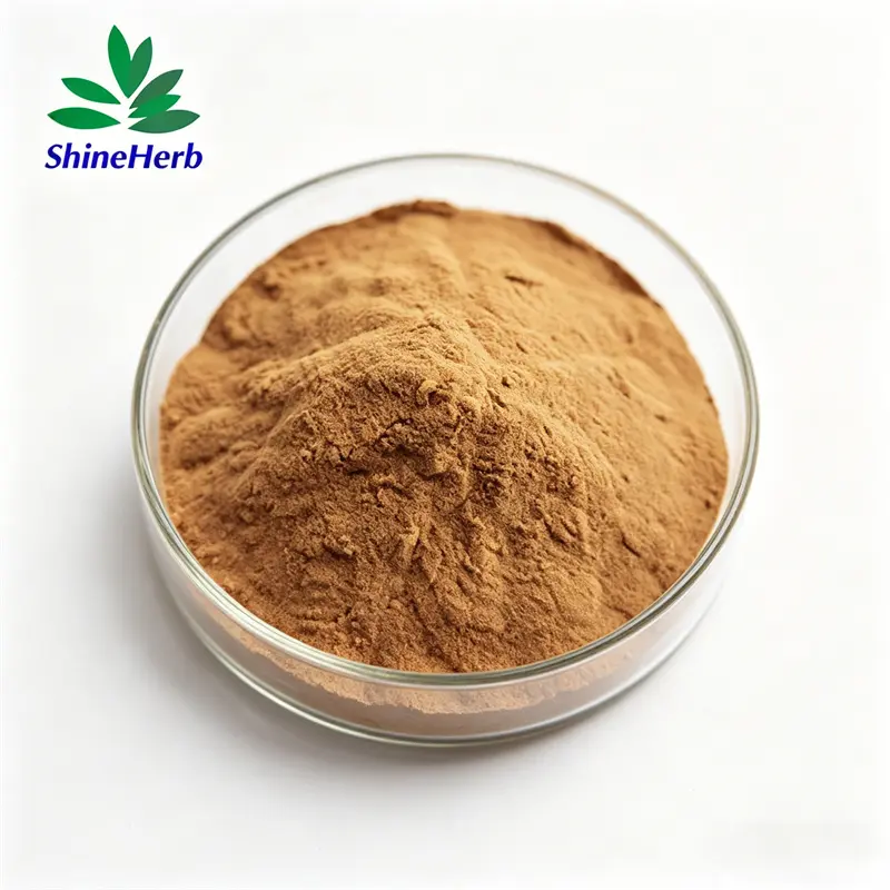 Best Energy Booster Ashwagandha Extract 5% Withanolides Supplier, Companies