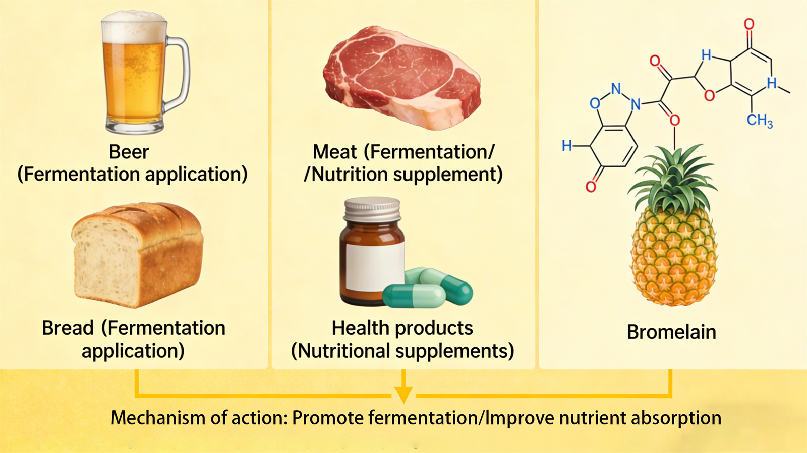 Applications of bromelain