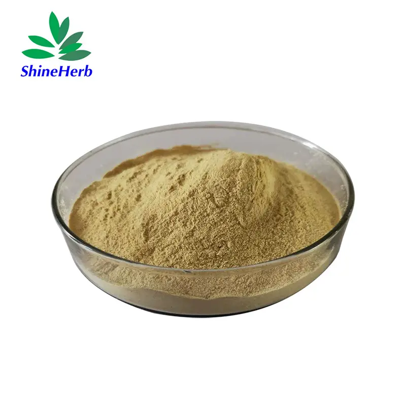 Best Dandelion Extract Taraxacum Officinale Powder Total Flavonoids 5%-20% Supplier, Exporters