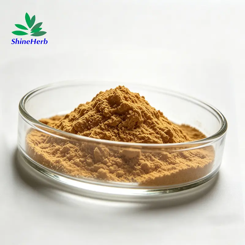 Wholesale Horse Chestnut Extract Natural Anti-Inflammatory Manufacturer, Company
