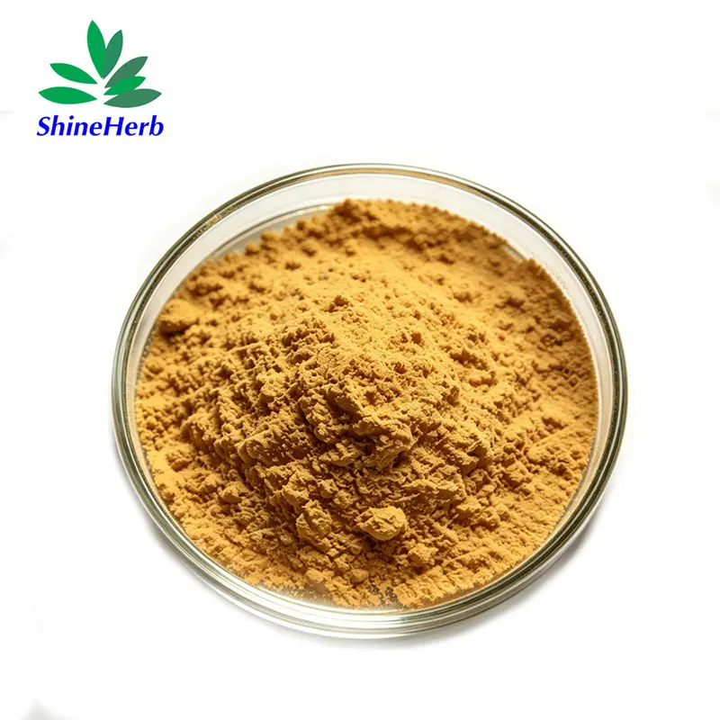 China Lion's Mane Mushroom Extract Polysaccharides 30% Hericium Erinaceus Extract Natural Dietary Supplement Company, Factory