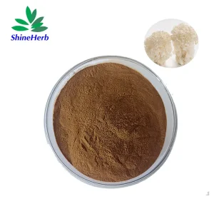 High-Quality 100% Natural Sparassis Crispa Extract 30% Polysaccharide Manufacturer, Exporters