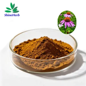 Echinacea Extract
