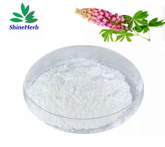 High-Quality Lupeol Powder 98% HPLC CAS 545‑47‑1 Natural Triterpenoid Cosmetic Raw Material Exporters, Exporter