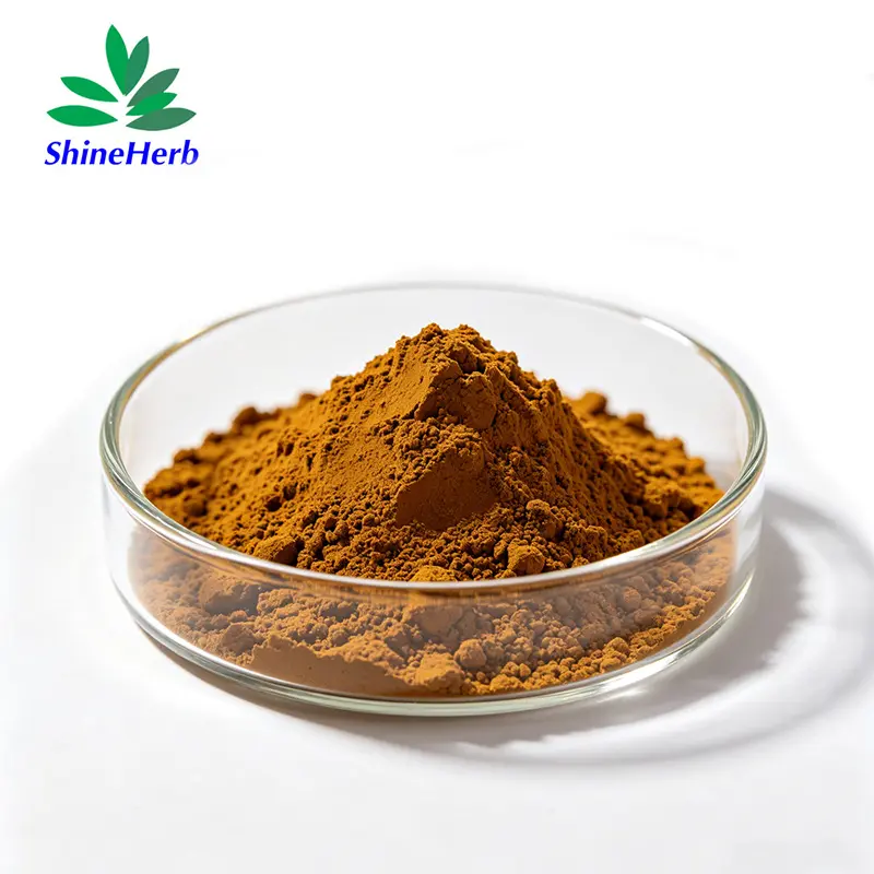 High-Quality Echinacea Extract 100% Pure Natural Plant Extract Supplier, Companies
