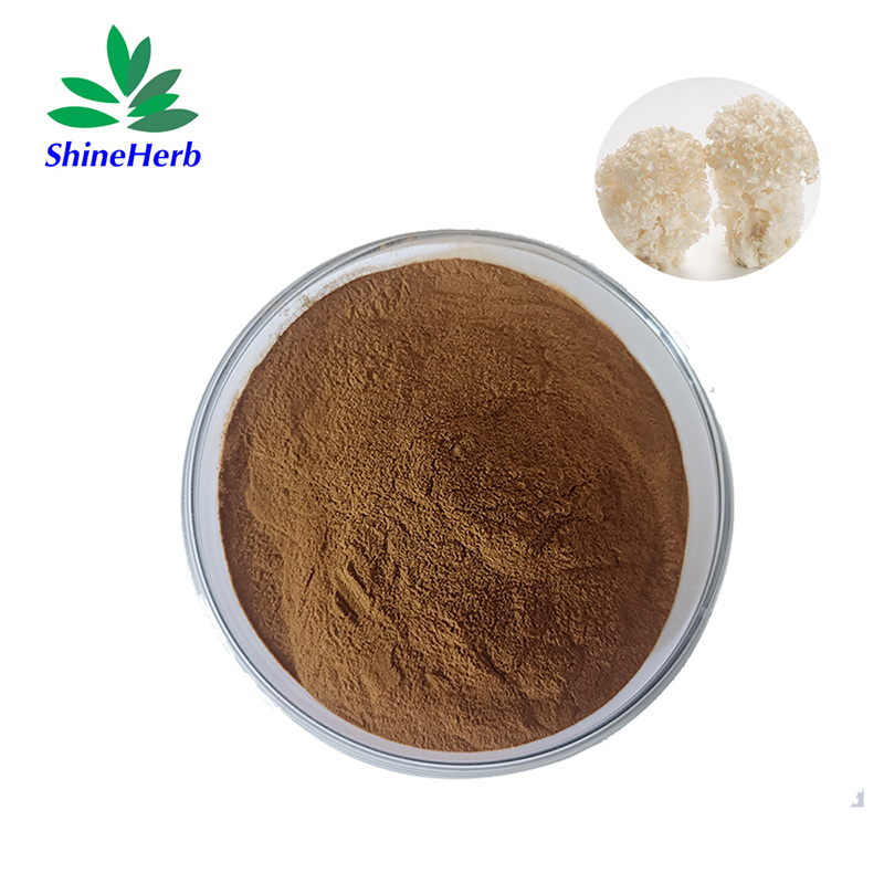 sparassis-crispa-extract-3