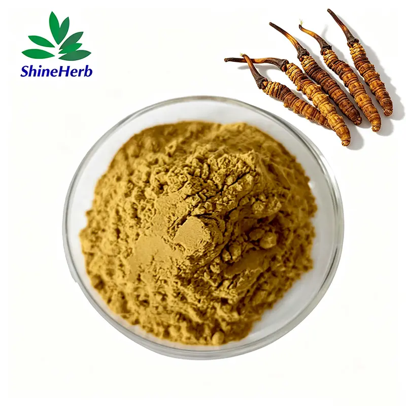 Best Cordyceps Sinensis Mushroom Extract 50% Polysaccharide Powder Bulk wholesale Manufacturers, Factories