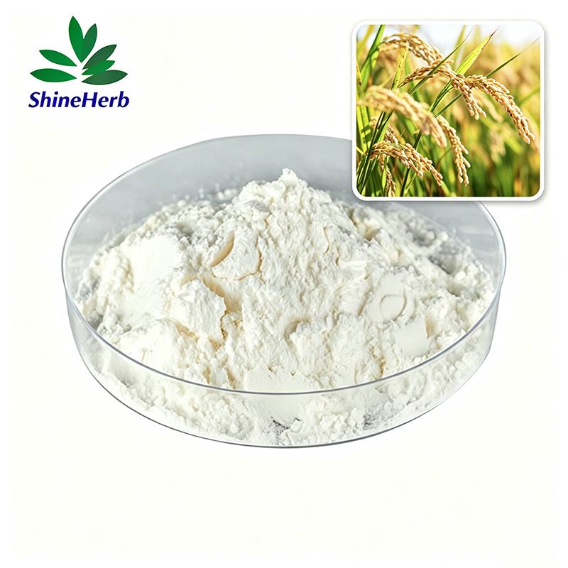Oryzanol Powder