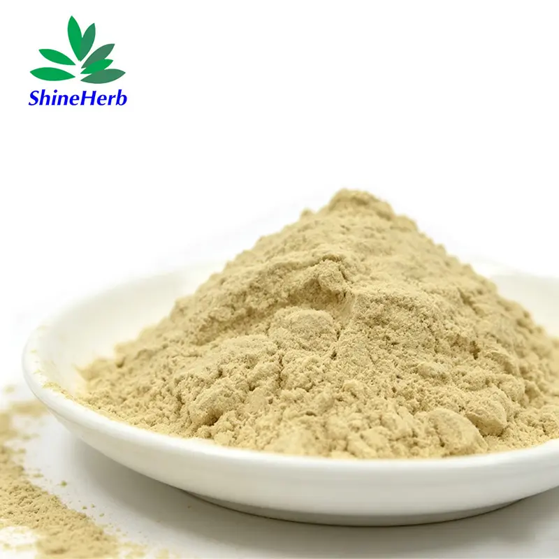 High-Quality Wheat Germ Extract 1% Spermidine Natural Supplement Source Company, Factories