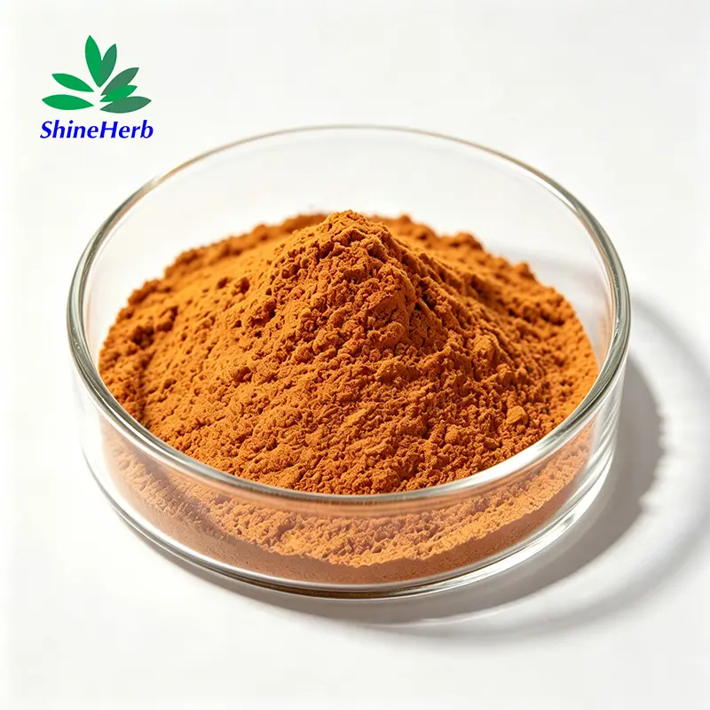 China Shineherb Supply Cinnamon Bark Extract Bulk 10-30% Polyphenols Exporter, Factory