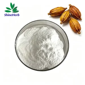 High-Quality Bulk Gardenia Extract Geniposide For Liver‑Support Dietary Supplements Suppliers, Factory