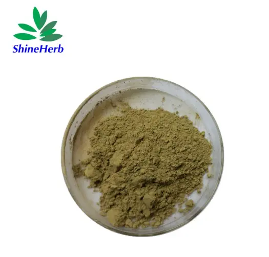 Best Shineherb supply Olive Leaf Extract 98% CAS 508-02-1 Oleanolic Acid Manufacturer, Factory