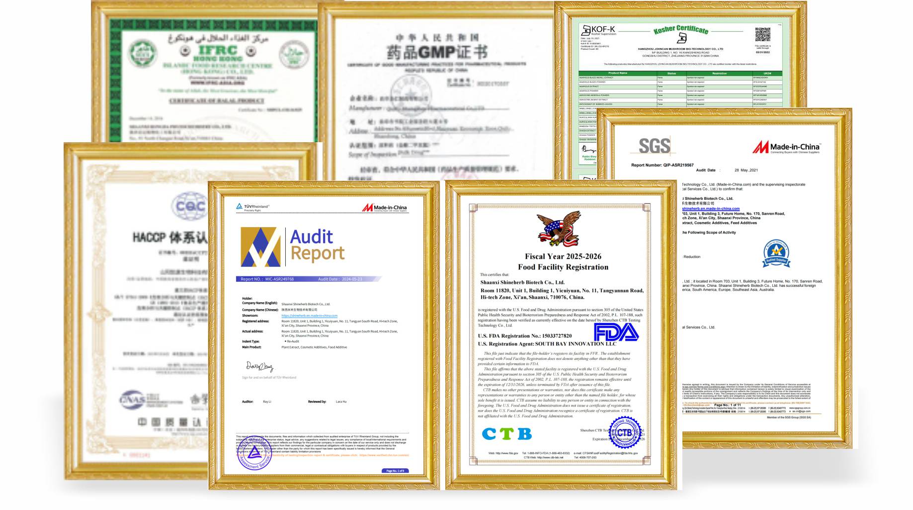 Nattokinase Certificate