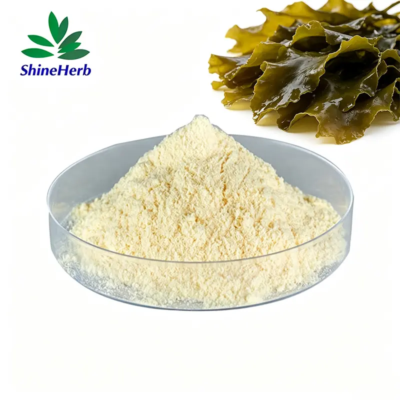 China Brown algae extract CAS 9072-19-9 Pharmaceutical Grade Fucoidan powder Manufacturer, Exporters