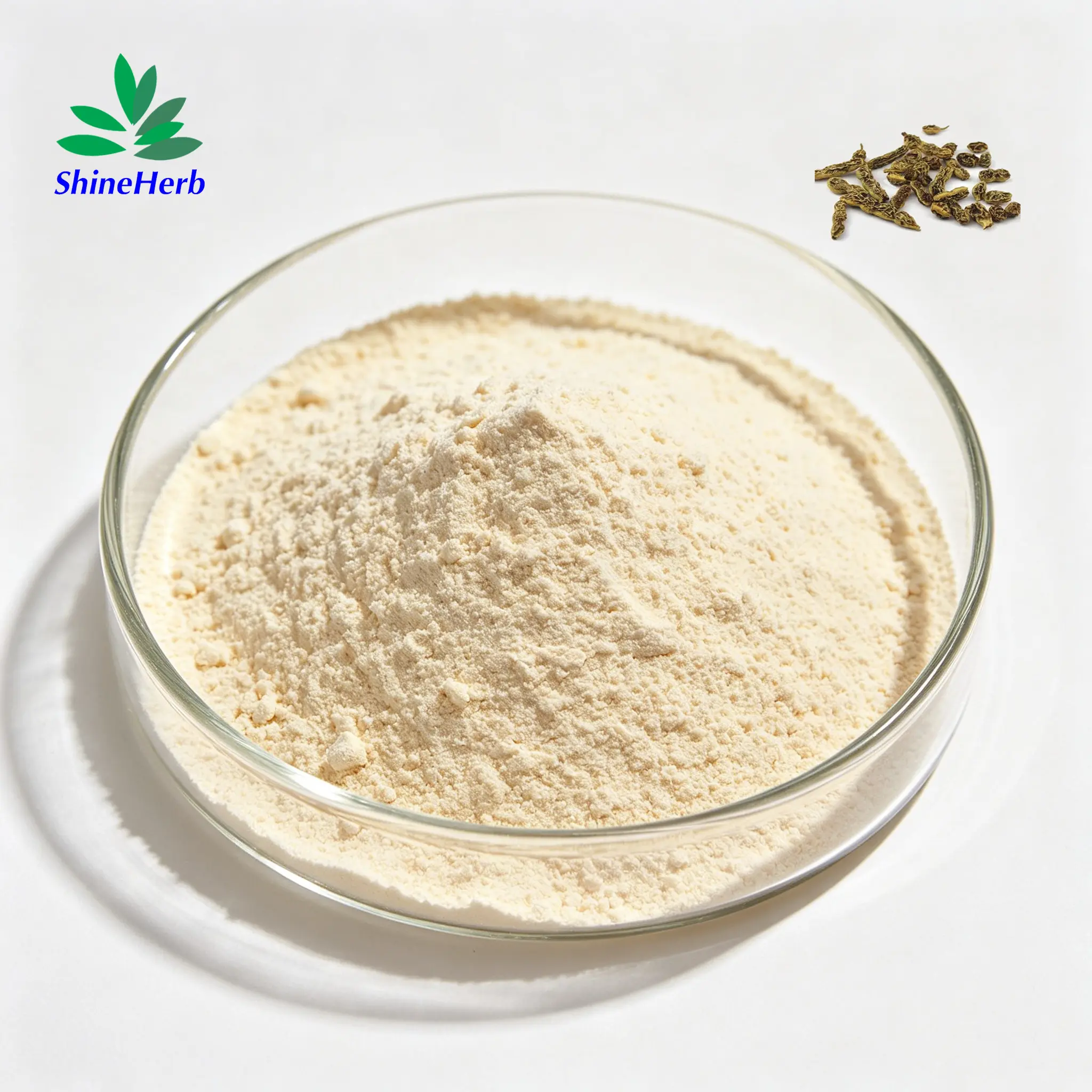Buy High Purity Genistein 98% From Natural Phytoestrogen for Menopause Support Non-GMO Manufacturer, Suppliers