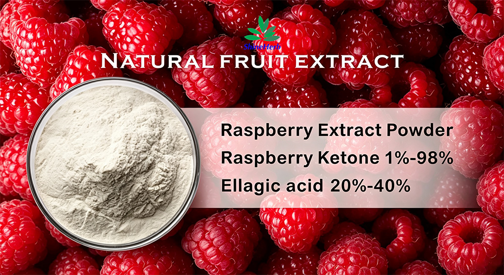 raspberry-extract-3