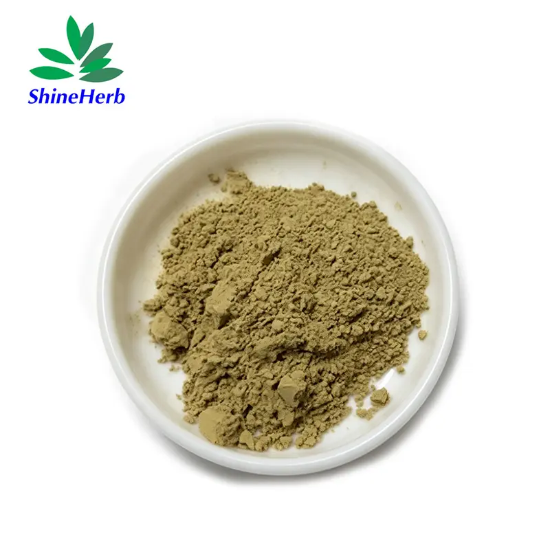 High-Quality Wholesale Natural Ursolic Acid CAS 77-52-1 for Ingredients Ursolic Acid Powder Exporters, Factory