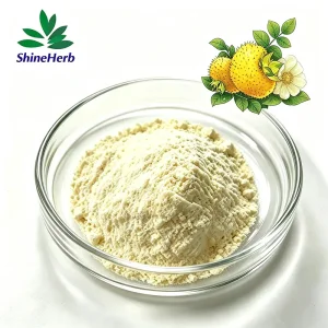 High-Quality Natural Rosa Roxburghii Tratt Extract For Supplement & Cosmetic Suppliers, Factories